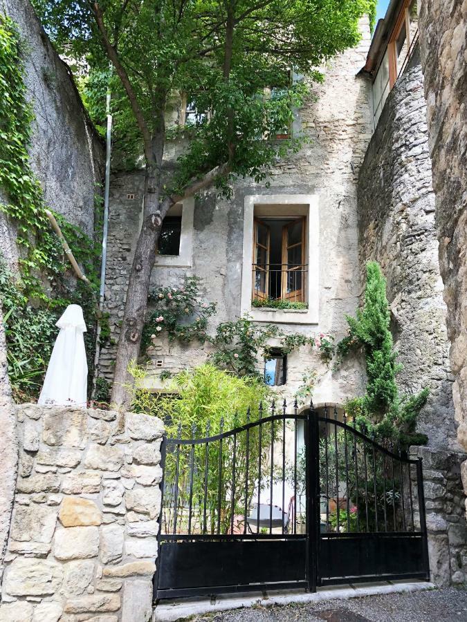 Villa Authentique Et Architecturale - Centre Ville Forcalquier Exterior photo